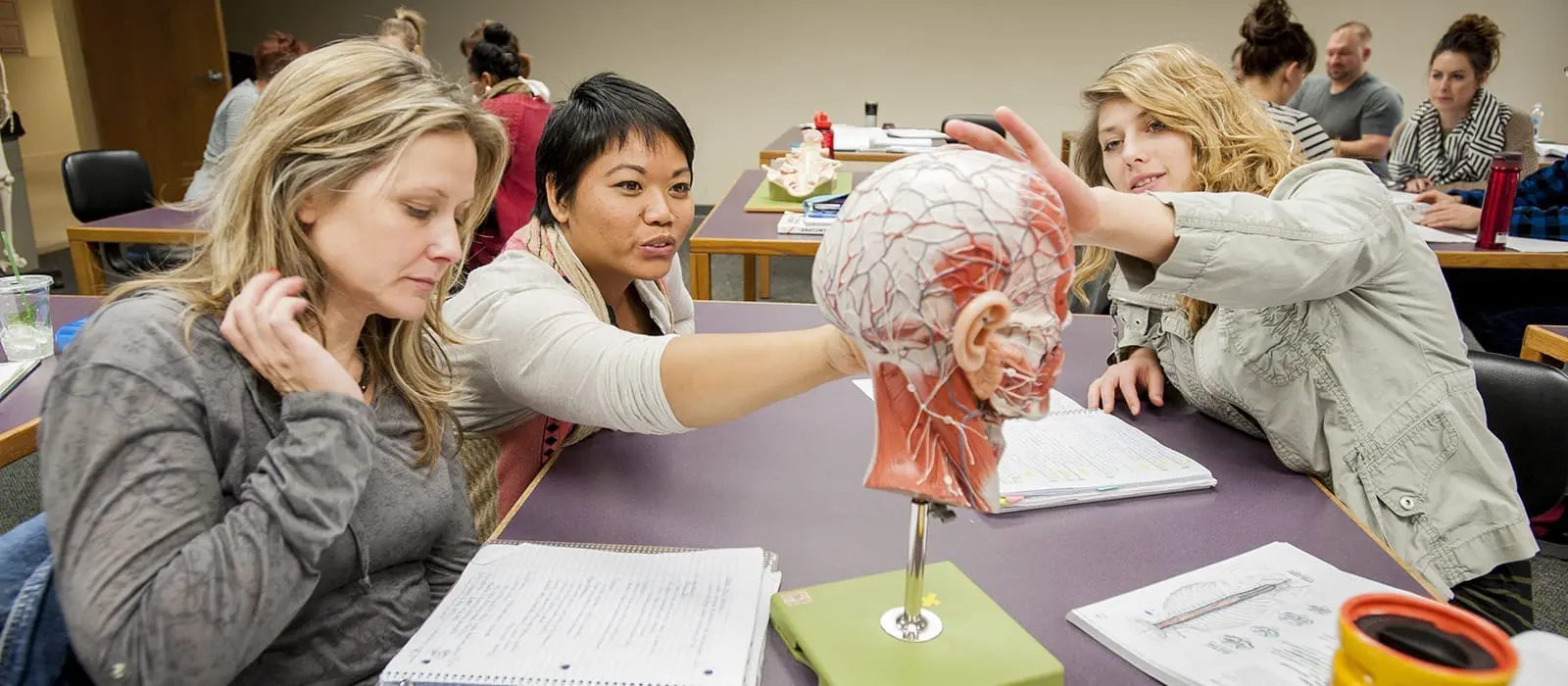 Discover NWHSU's Acupuncture and Chinese Medicine Program in a Virtual Visit