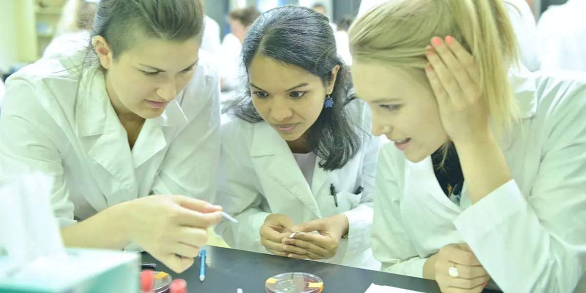 Begin Your NWHSU Education