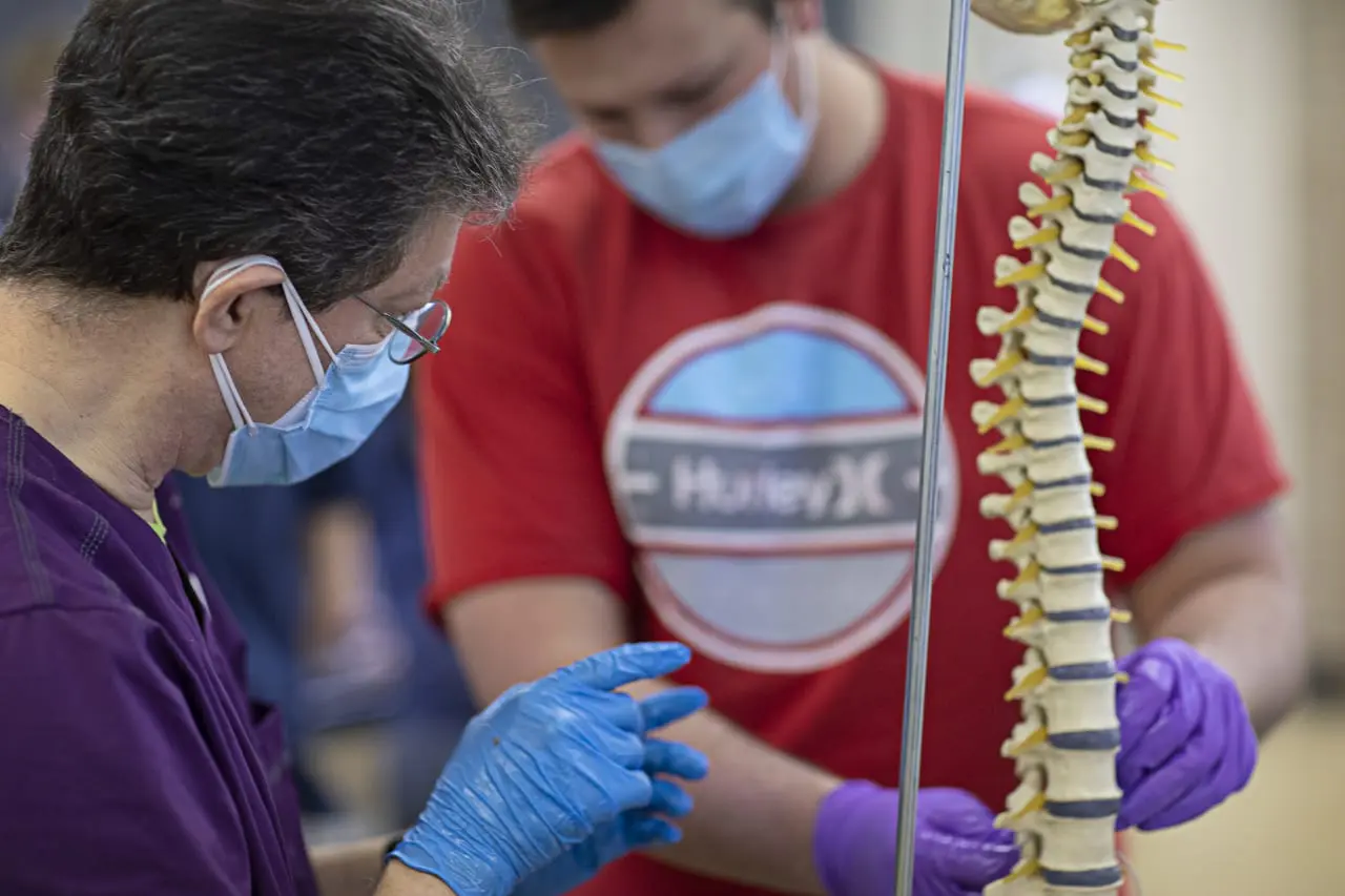 A chiropractic school curriculum generally follows three major phases.