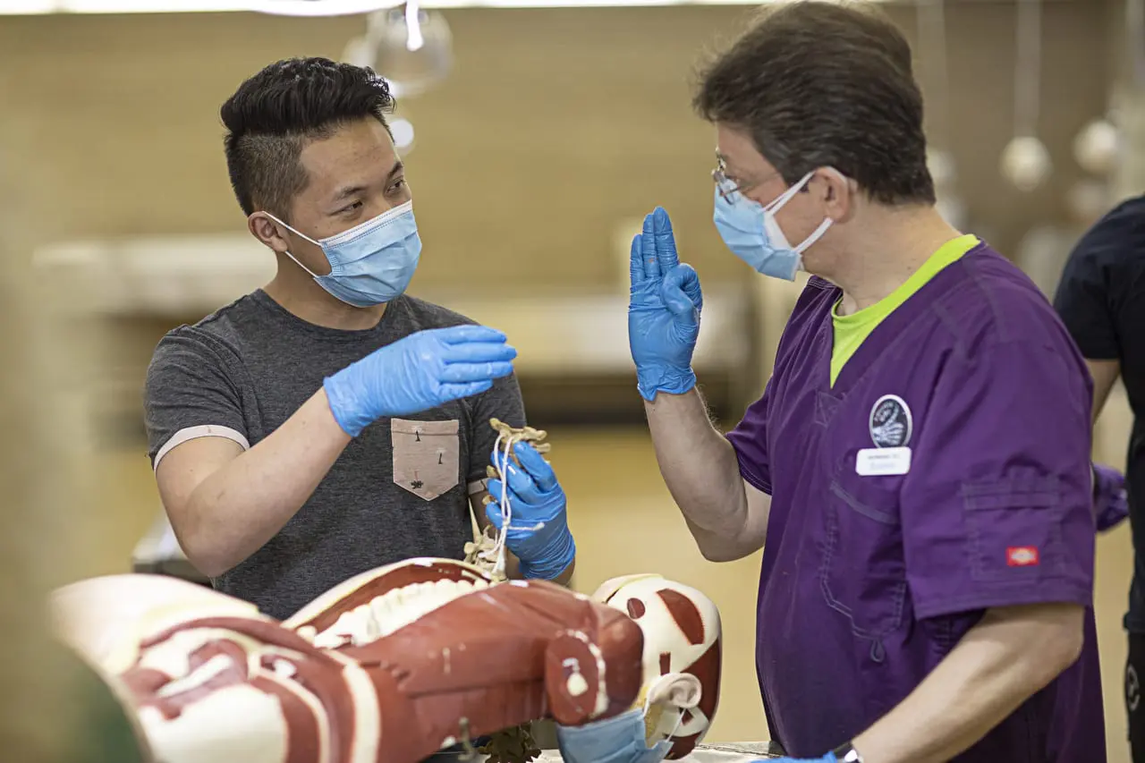 How to Become a Chiropractor