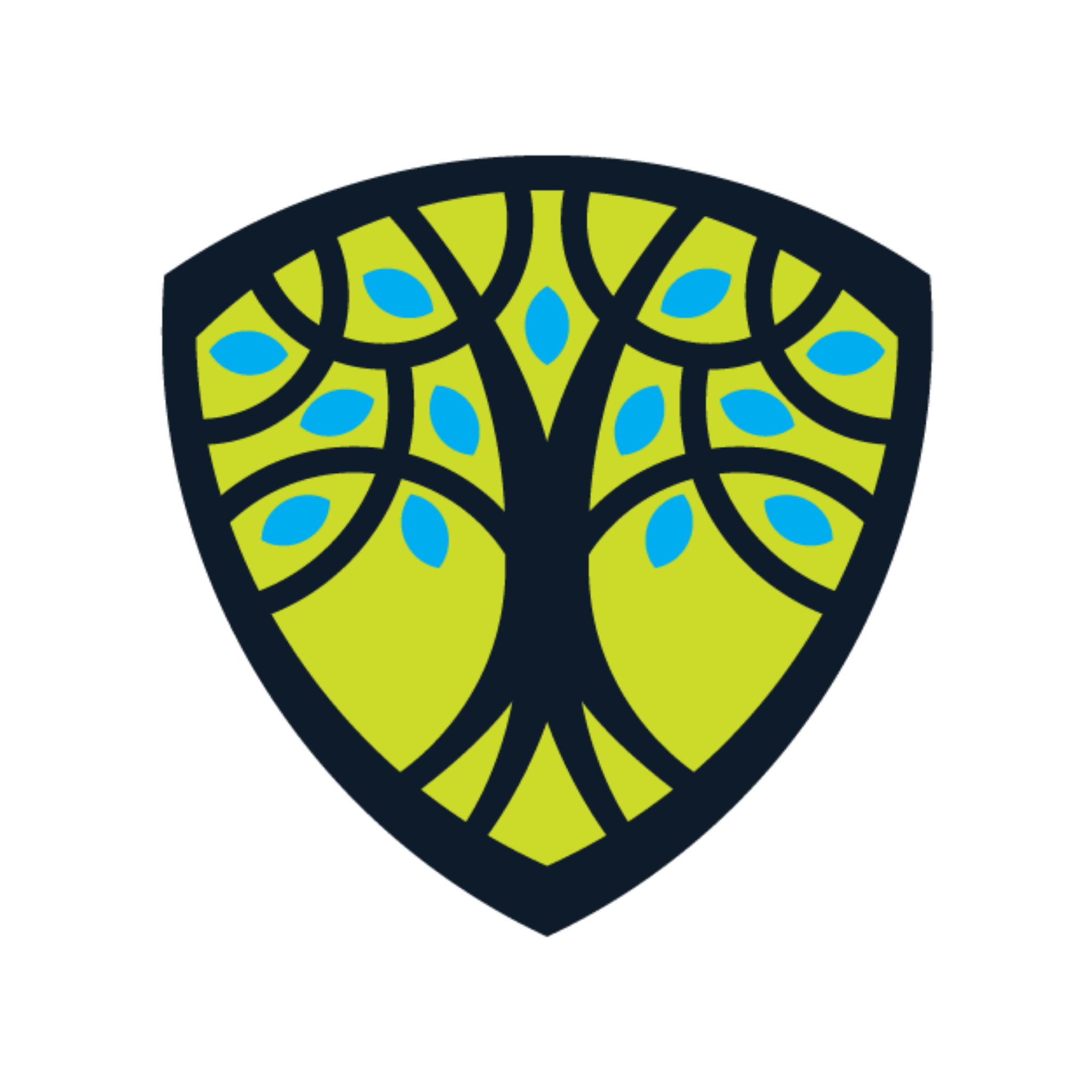 Graduate Certificate in Integrative Health and Wellbeing Coaching Admissions Requirements