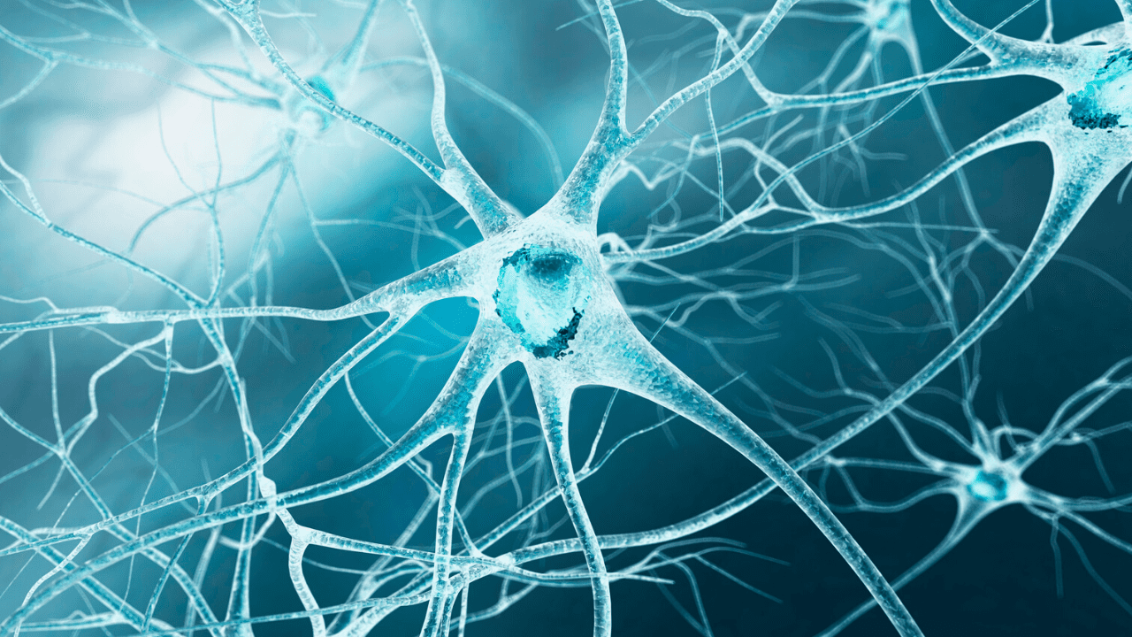 Long Covid Brain Fog