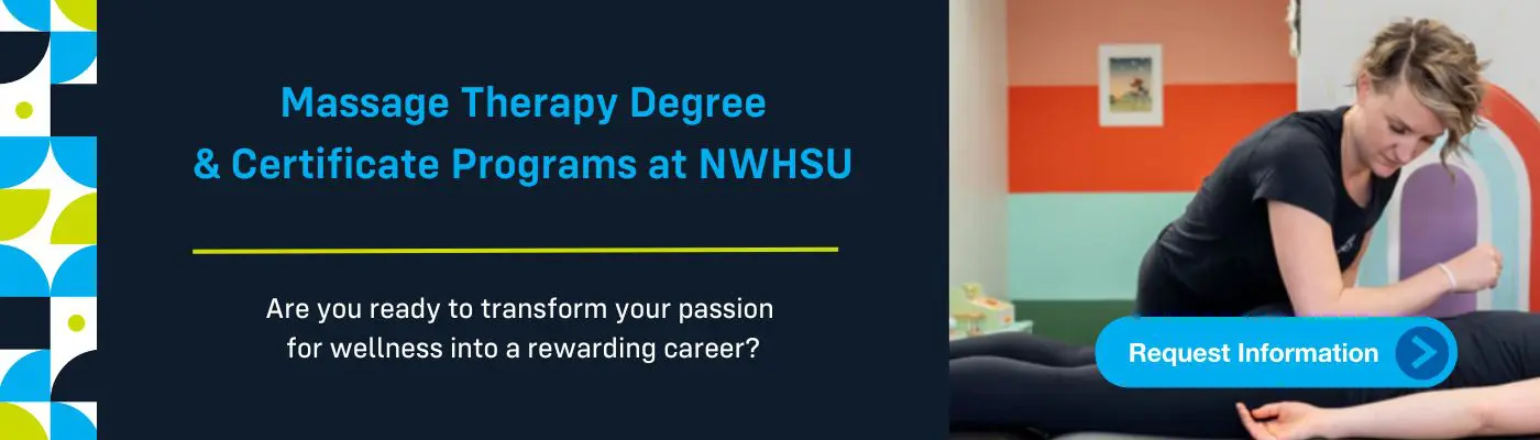 Massage Therapy - A Day in the Life of a Massage Therapist