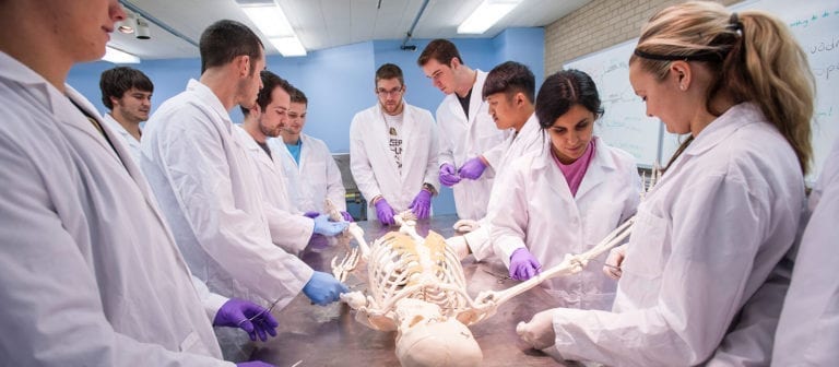 Chiropractic School Anatomy Class