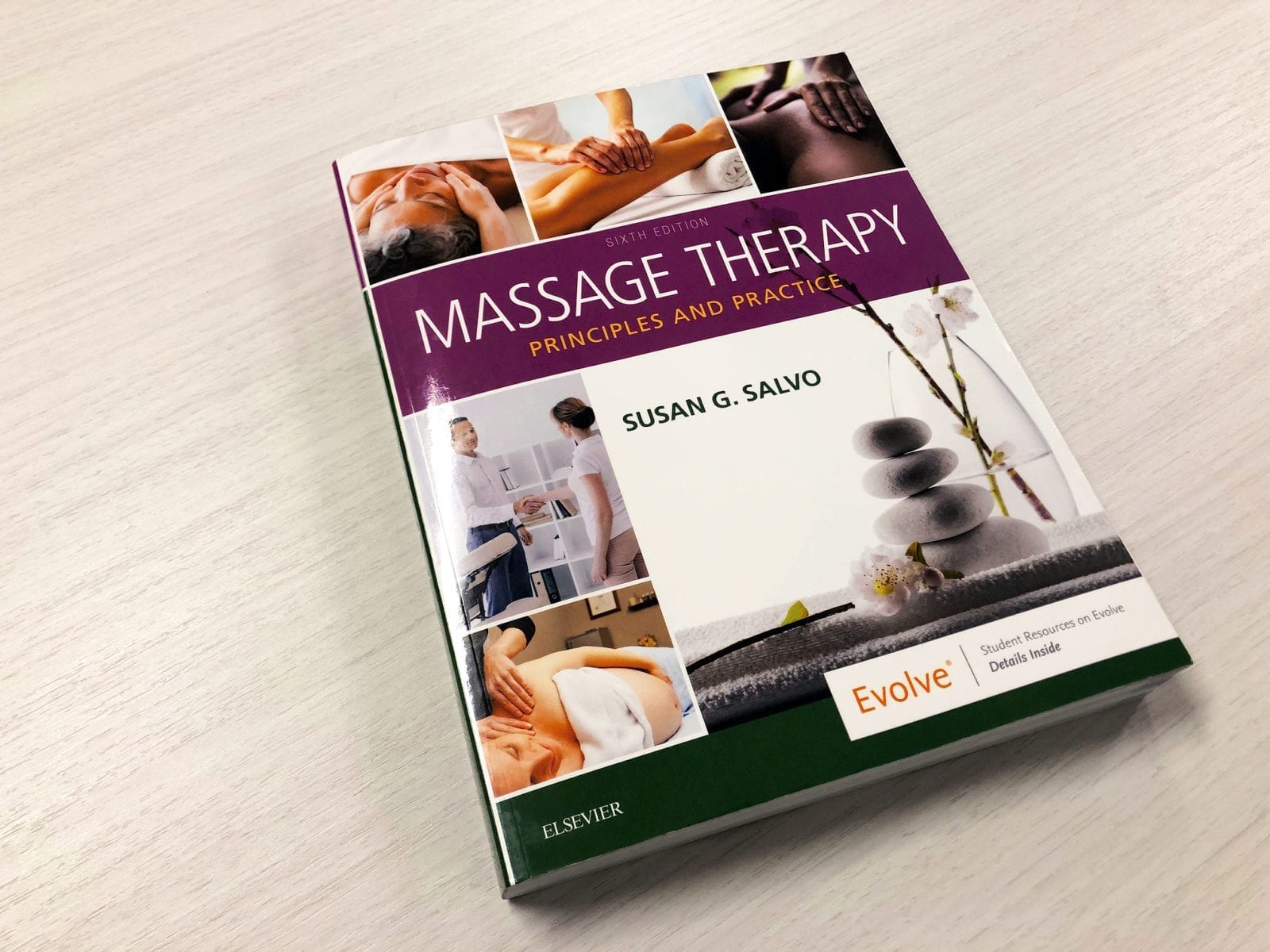 Michele Renee contributes to seminal massage therapy textbook