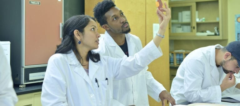 Discover NWHSU's Medical Laboratory Science Program in a Virtual Visit