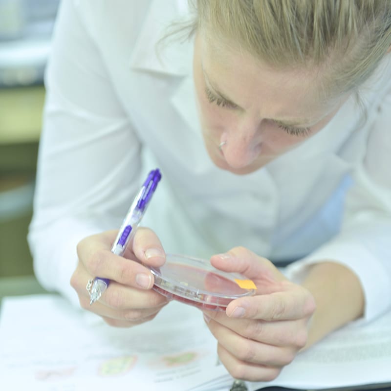 Med Lab Tech Academic Home 800x800