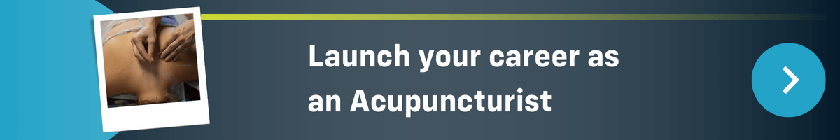 Blog—How To Build An Integrative Healthcare Practice One Acupuncturist’s Experience CTA 2