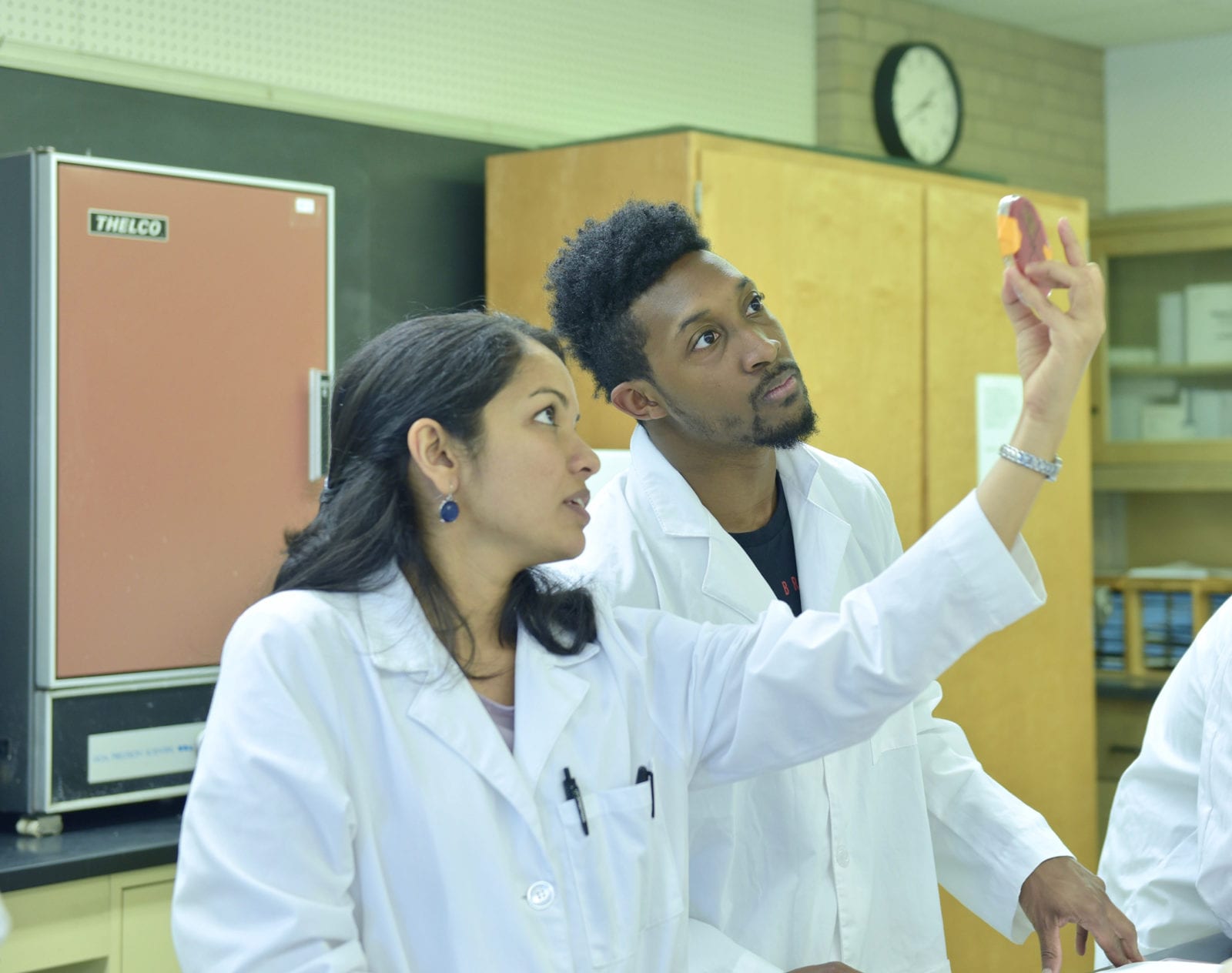 Q A On How To Become A Medical Laboratory Scientist NWHSU