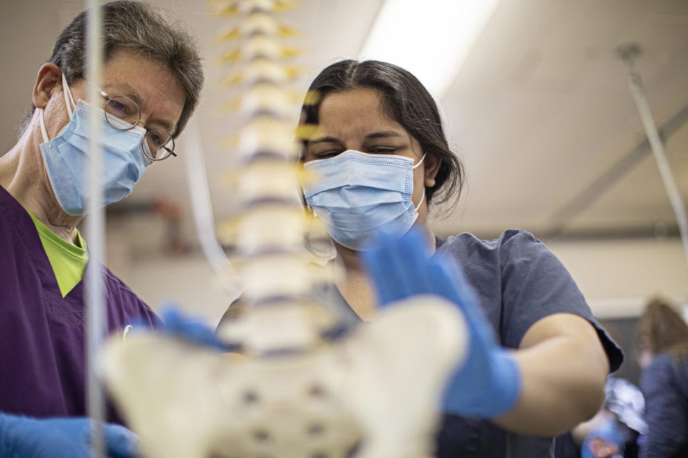 How to a Chiropractor Chiropractic School Guide