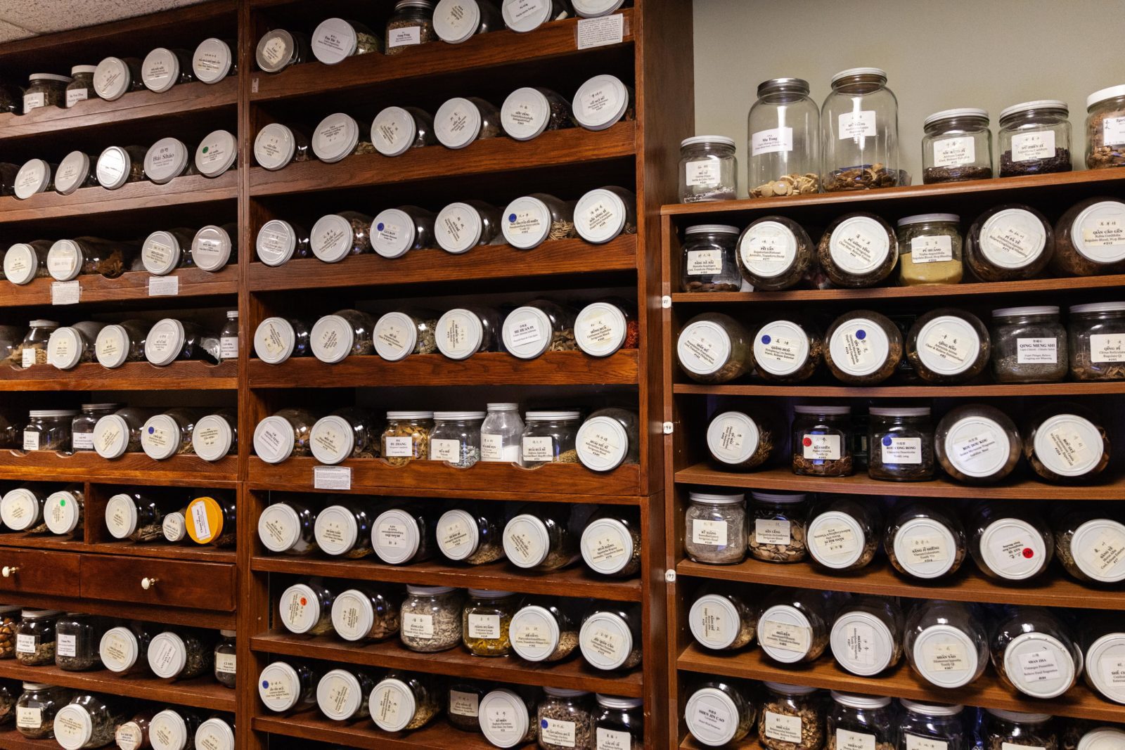 Herbal medicine also plays a significant role in Chinese medicine.