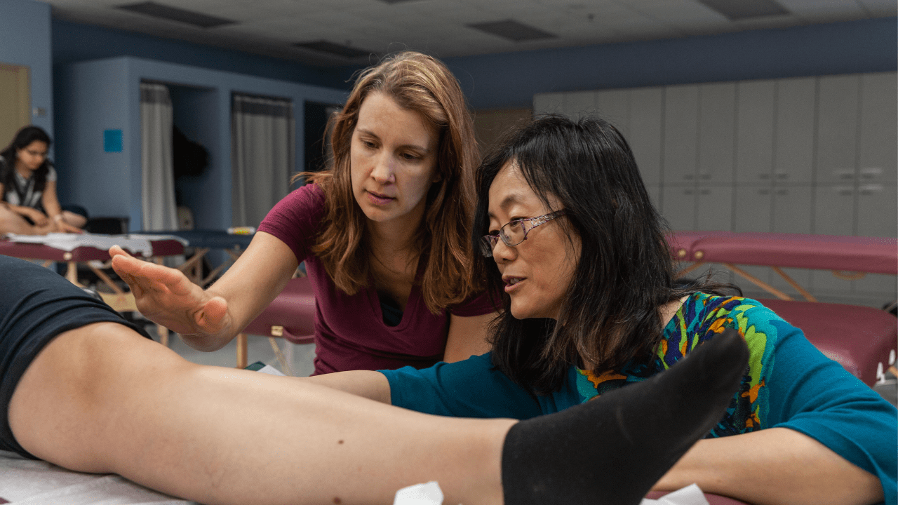 Great River Symposium - the future of acupunture