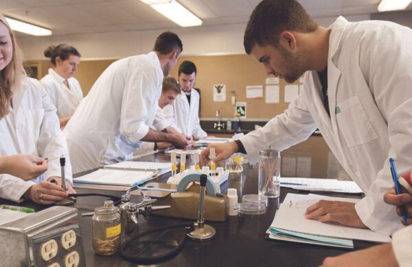 What Is The Difference Between Pre Health And Pre Med